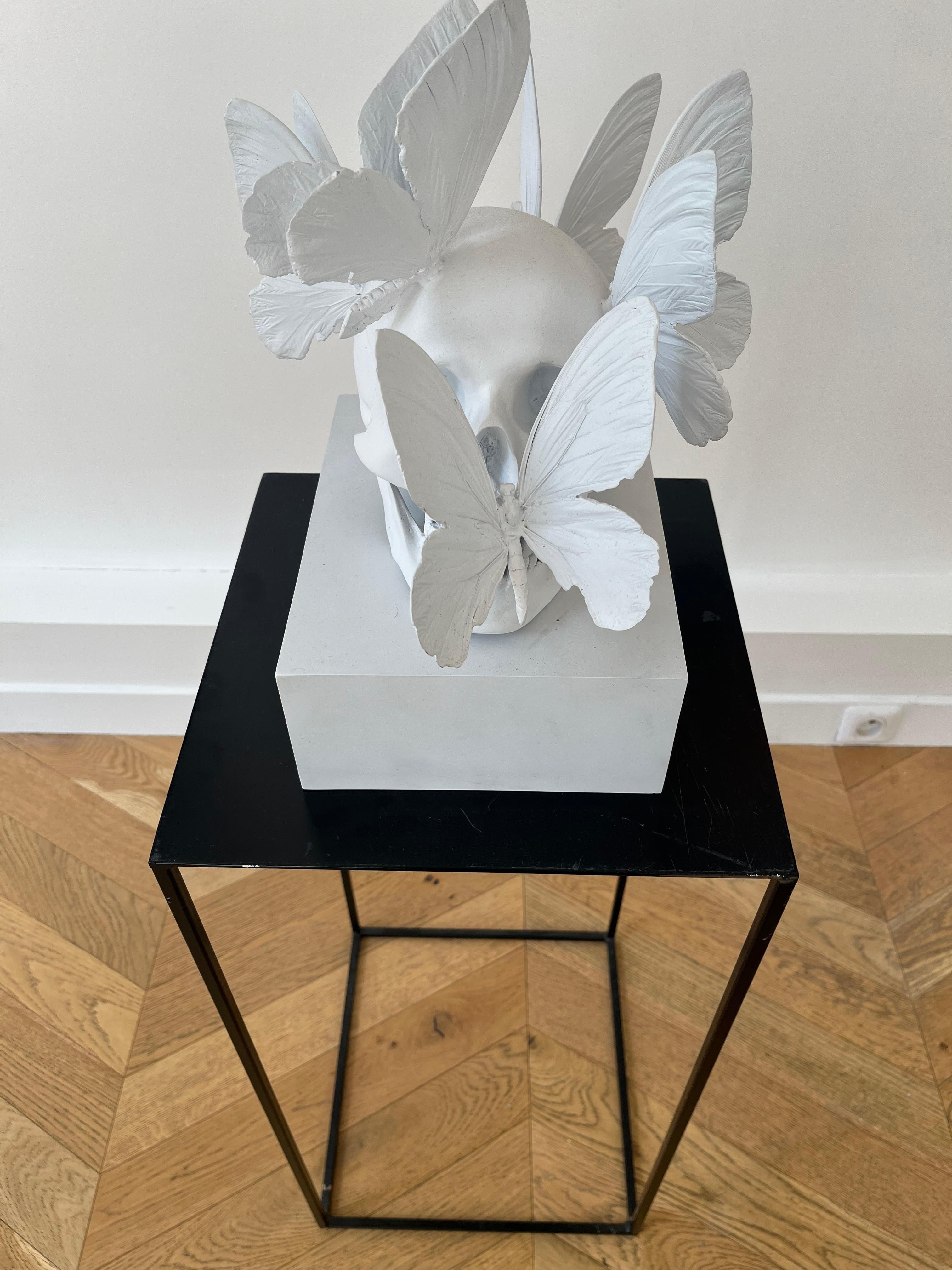 Abstract Sculpture di Philippe Pasqua - Vanità con le farfalle