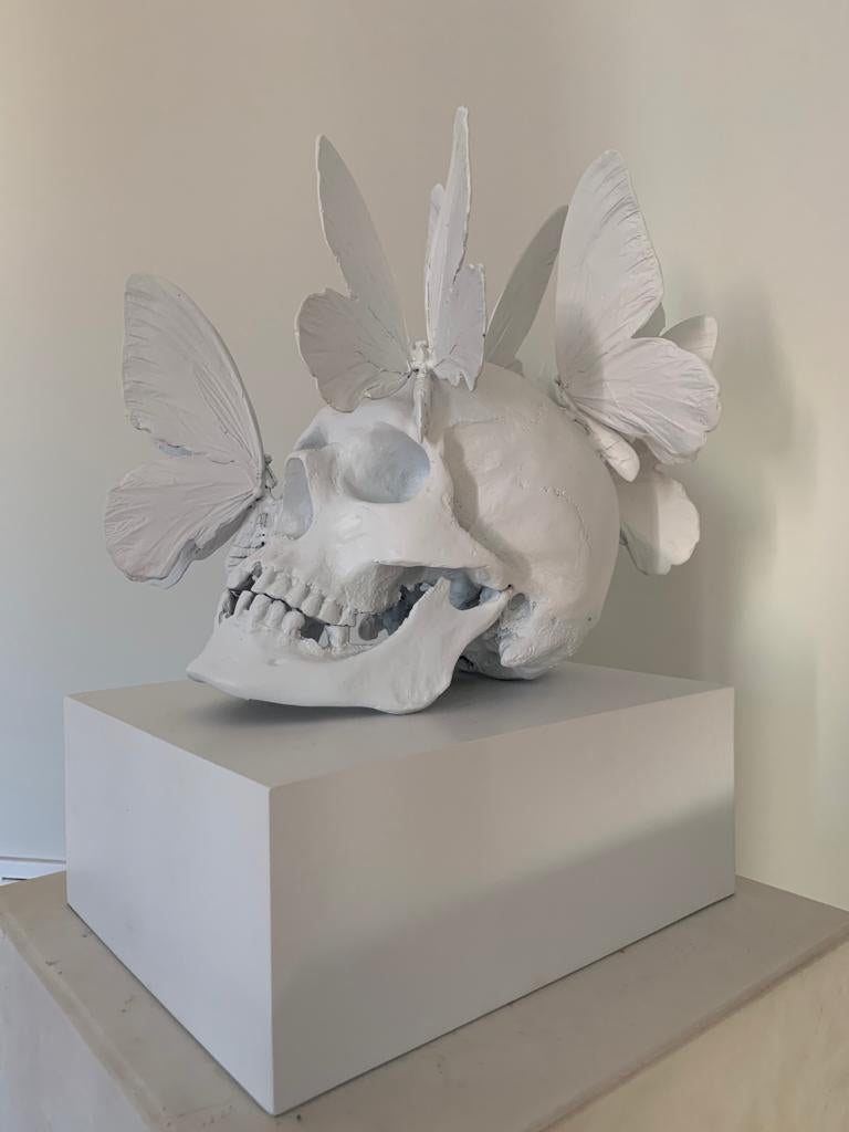 philippe pasqua skull