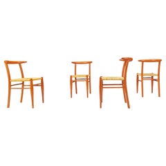 Vintage Philippe Starck chairs model Tessa nature edition Driade Aleph 1990 set of 4