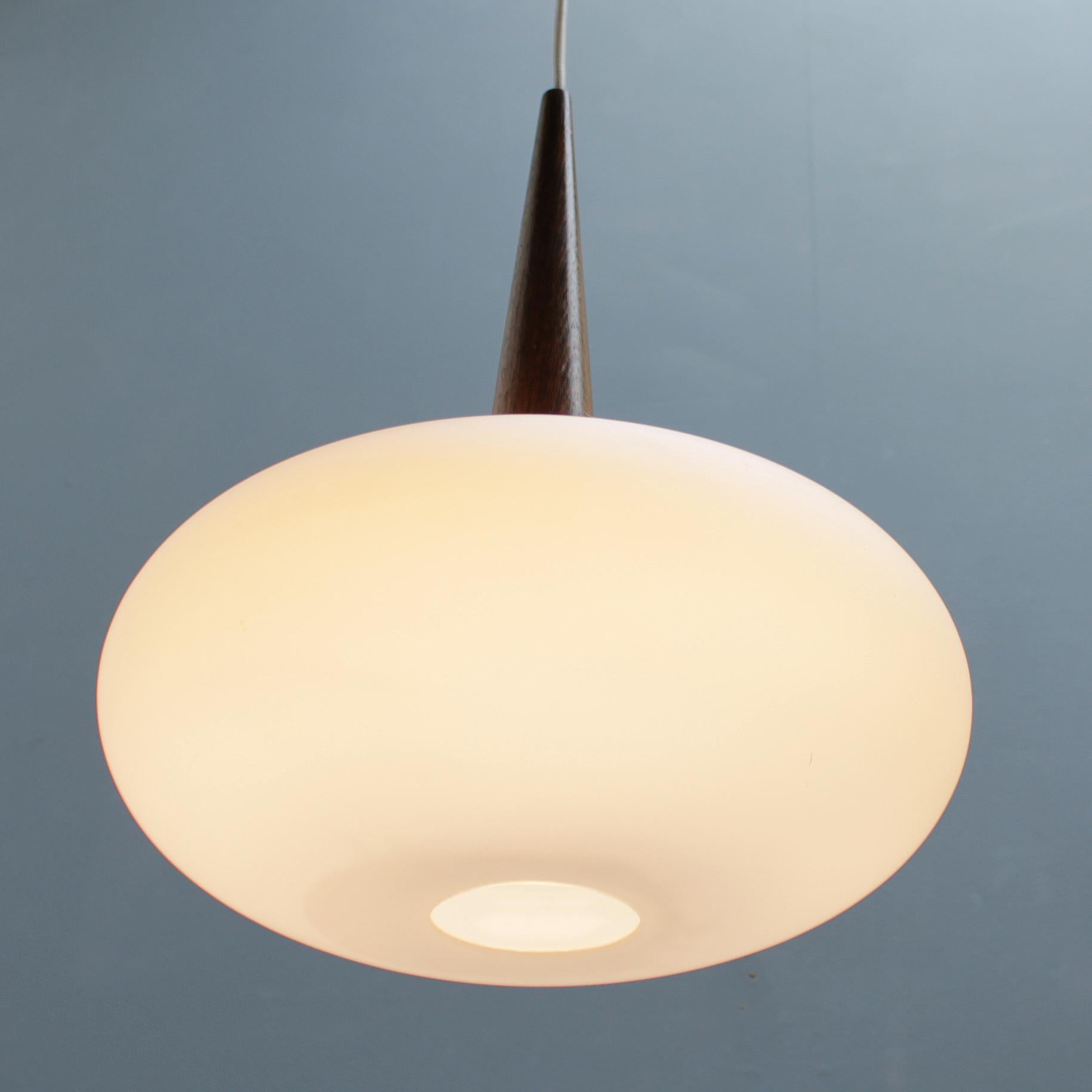 Philips Pendant Lamp by Louis Kalff, Dutch 1950s 1