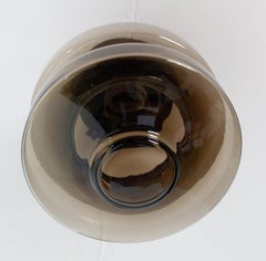 Philips Smoked Glass Flush Mount Lamps