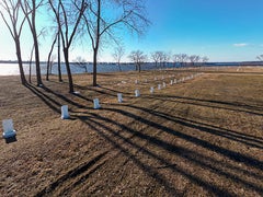 "Potters Field" a limited edition photograph from Hart Island, 2024