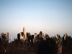 „Statue of Liberty“, eine limitierte Auflage von Coney Island, 1974