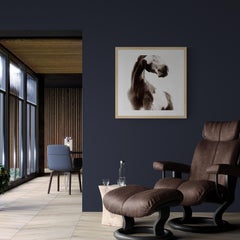 Sosa di Phillip Graybill, Fotografia di cavalli