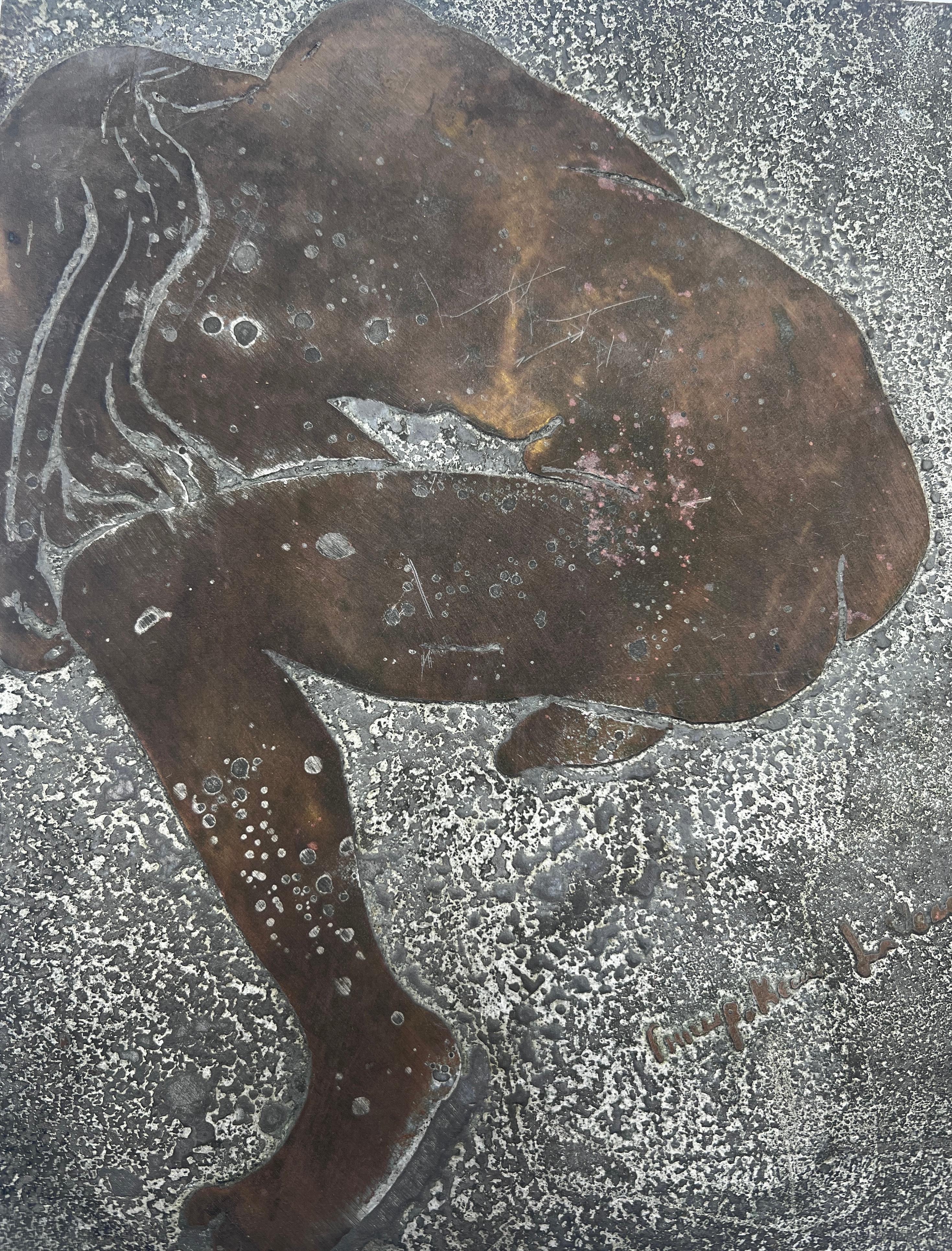 Americano Targa da parete in bronzo 