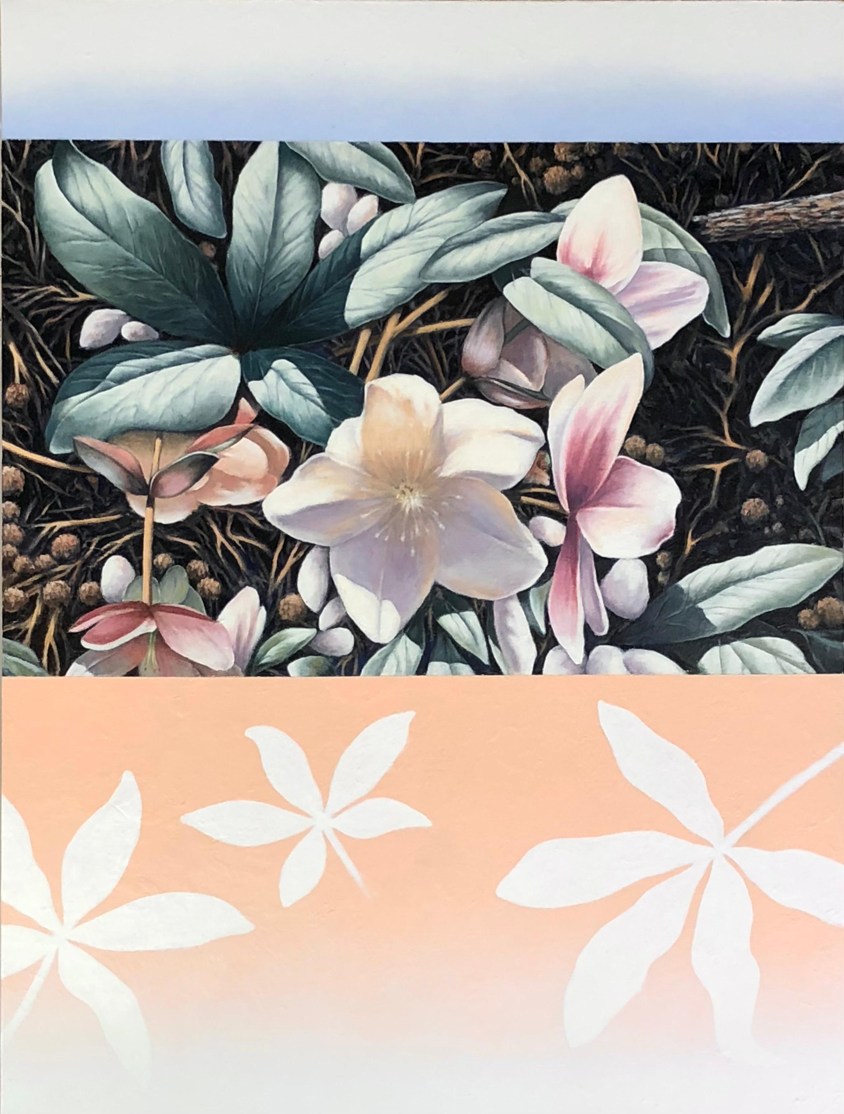 Lenten Roses