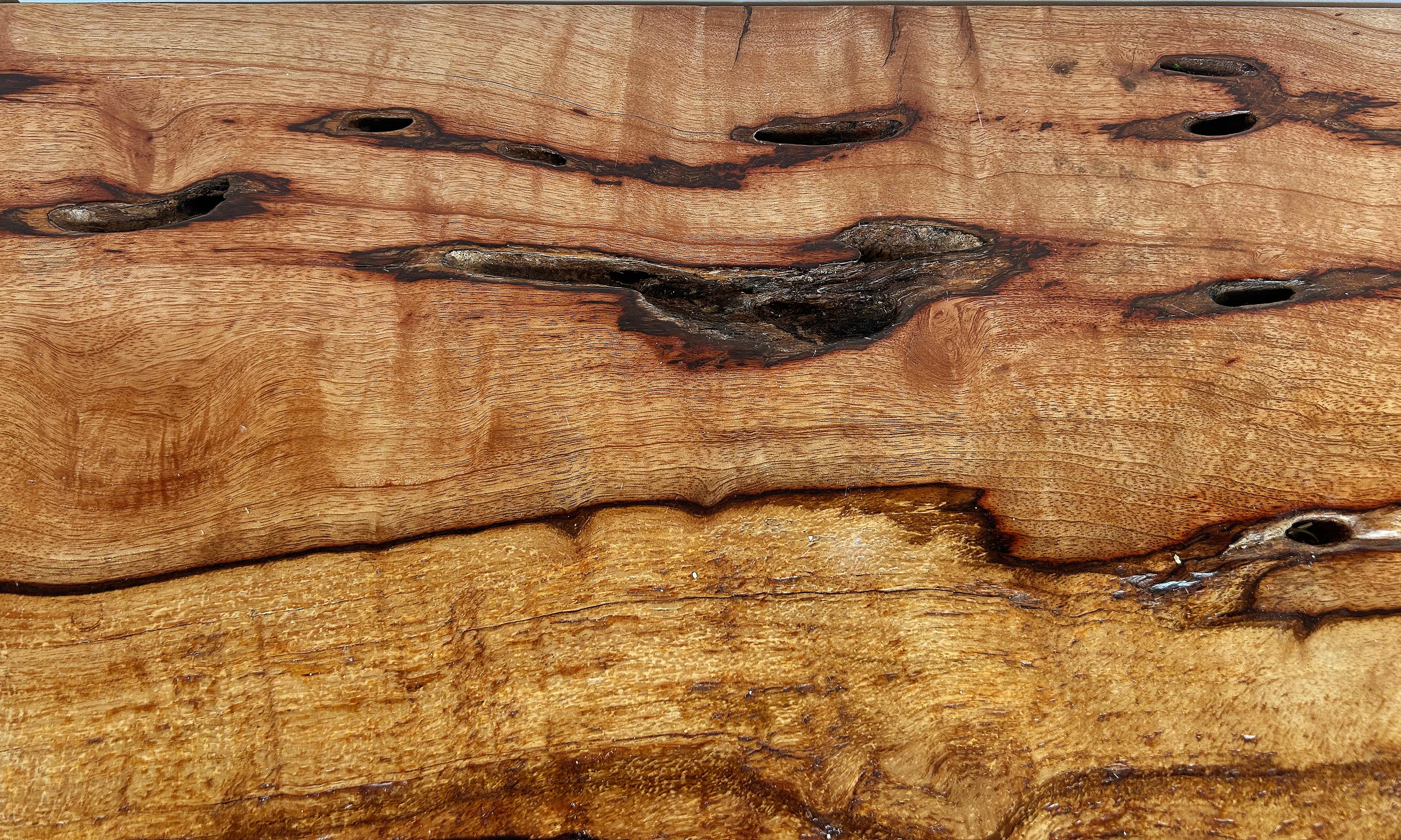 Collection Phillipsal Table de salle à manger Organic Modern Origins, Live Edge Solid Wood en vente 4