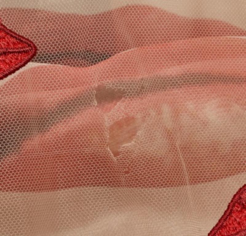 Philosophy di Alberta Ferretti Rot/Beigefarbenes Tüllkleid mit Lippenapplikationen S im Angebot 3