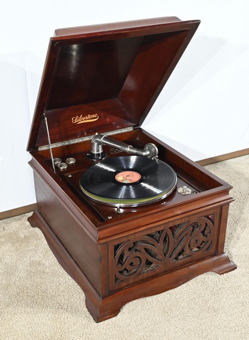 Présenté dans le catalogue annuel de 1920 de la société américaine Silvertone, ce phonographe présente une porte à battant avec diverses moulures montées sur des compas.
La caisse de résonance, décorée de rinceaux et de feuilles, est ajourée sur le