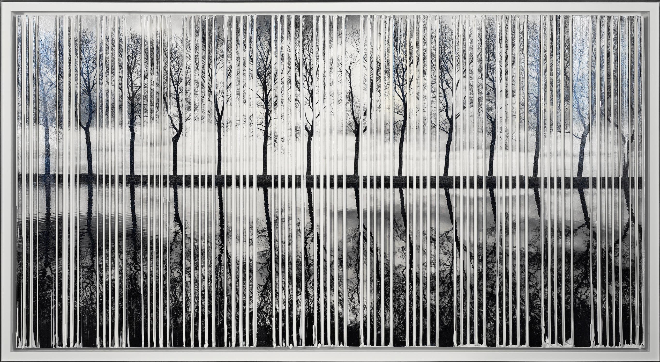 Alberi