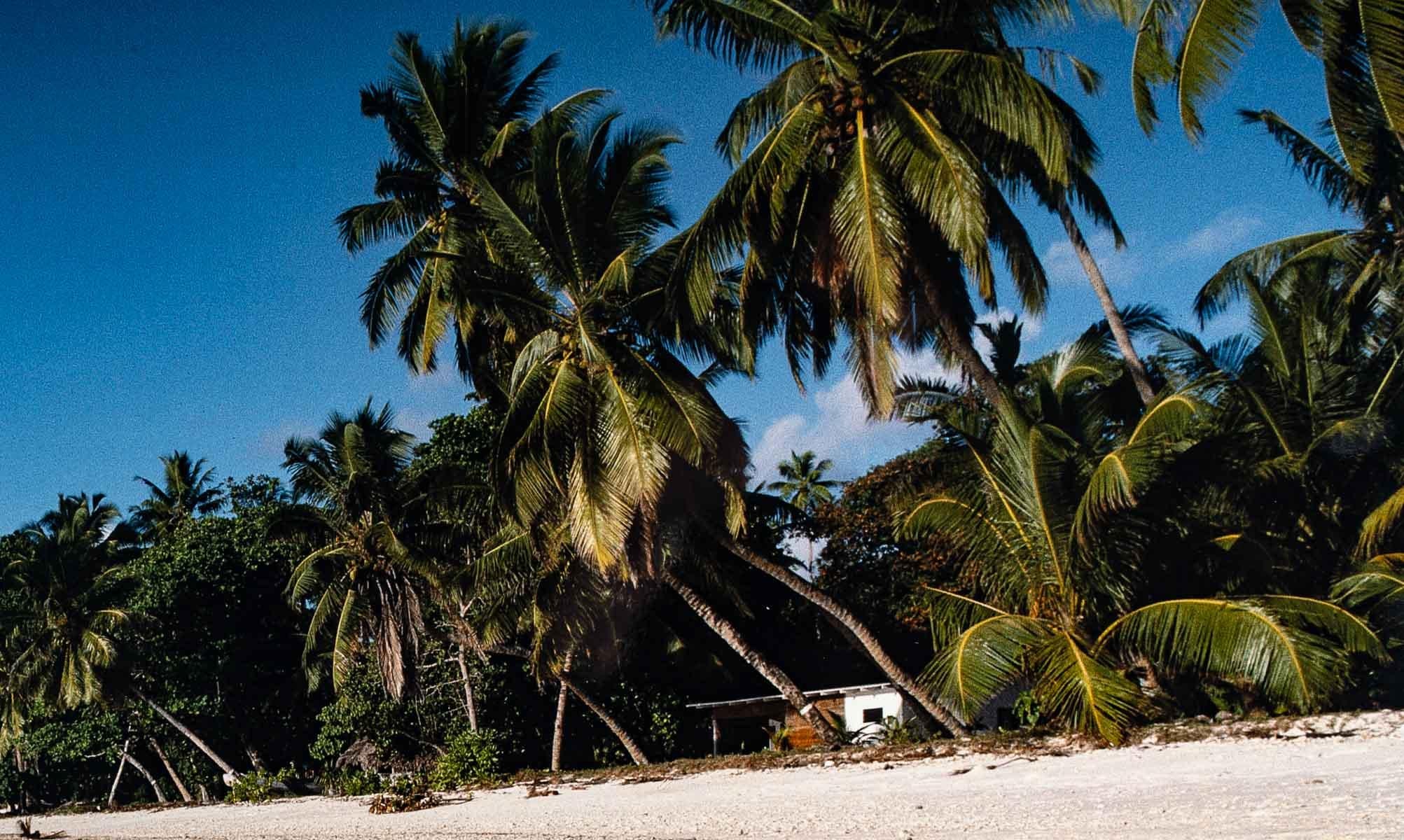 Moderne Photo de Jean-Pierre Bourgeois en vente