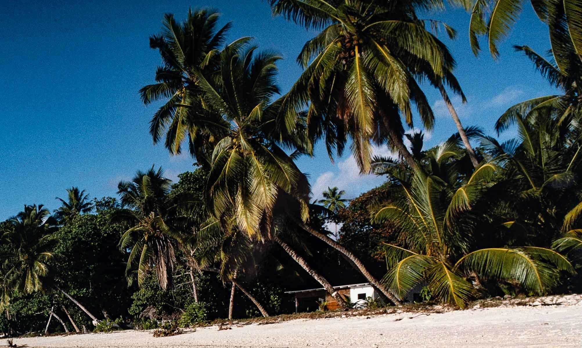 Foto: Jean Pierre Bourgeois (Ende des 20. Jahrhunderts) im Angebot