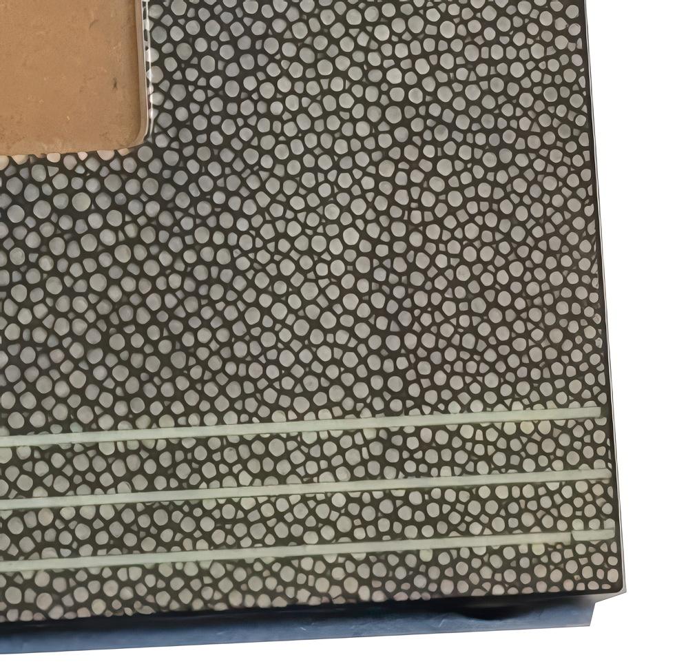 Marco Foto, Macassar, Shagreen, Imitación Marfil, Níquel en venta 1
