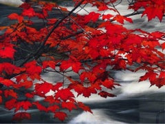 Photo Le Art Photograph Large Peter Lik "In The Clouds", Red, Gray, White, Black