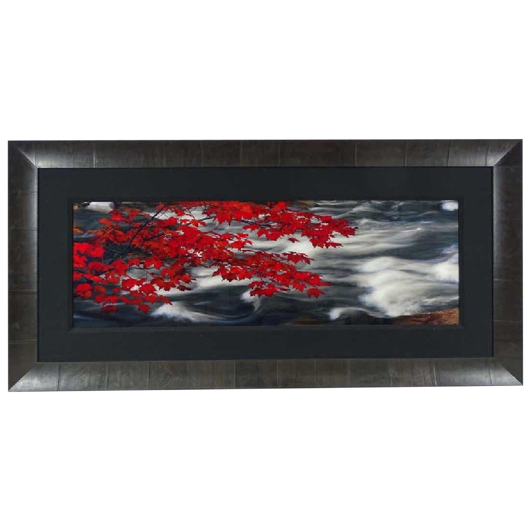 Photo Le Art Photograph Large Peter Lik "In The Clouds", Red, Gray, White, Black