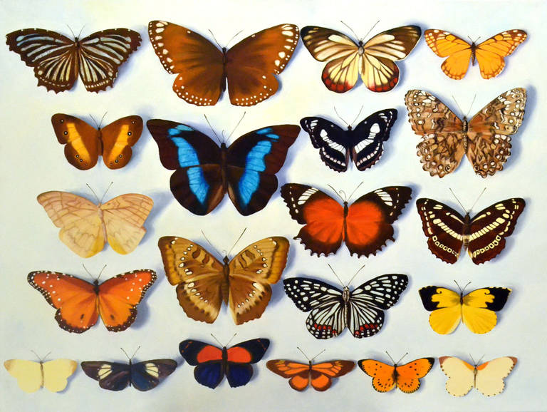 Peinture - photoréaliste de papillons par Bridget Orlando Excellent état - En vente à London, GB