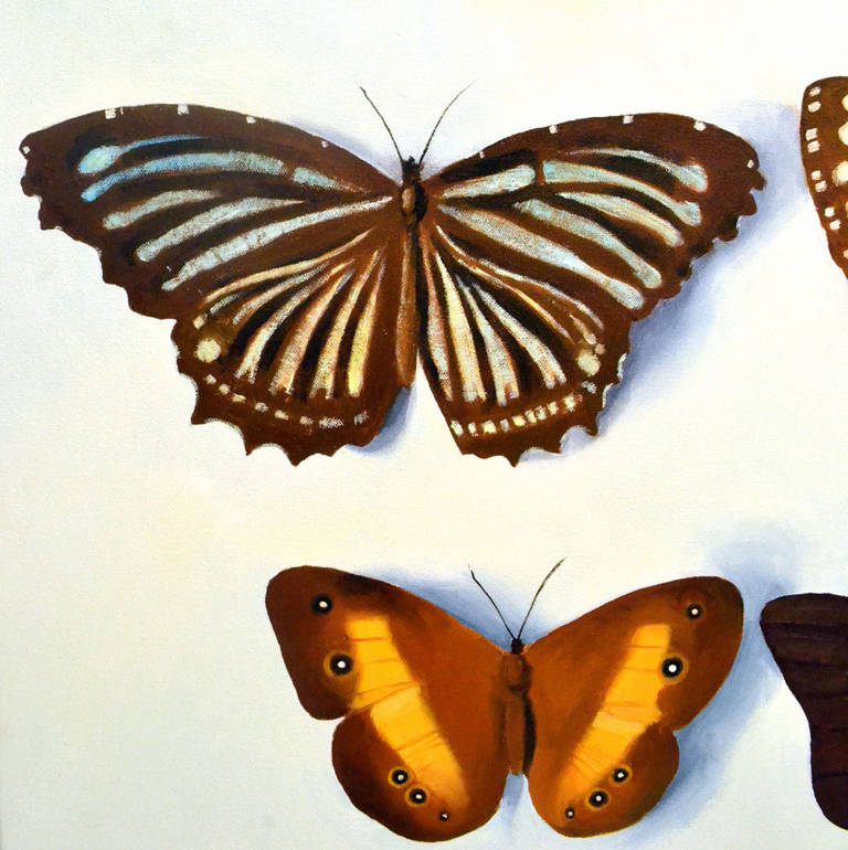 Still Live Painting of Butterflies by Bridget Orlando In Excellent Condition For Sale In London, GB
