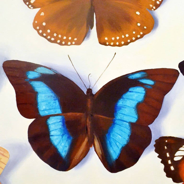Peinture - photoréaliste de papillons par Bridget Orlando en vente 1