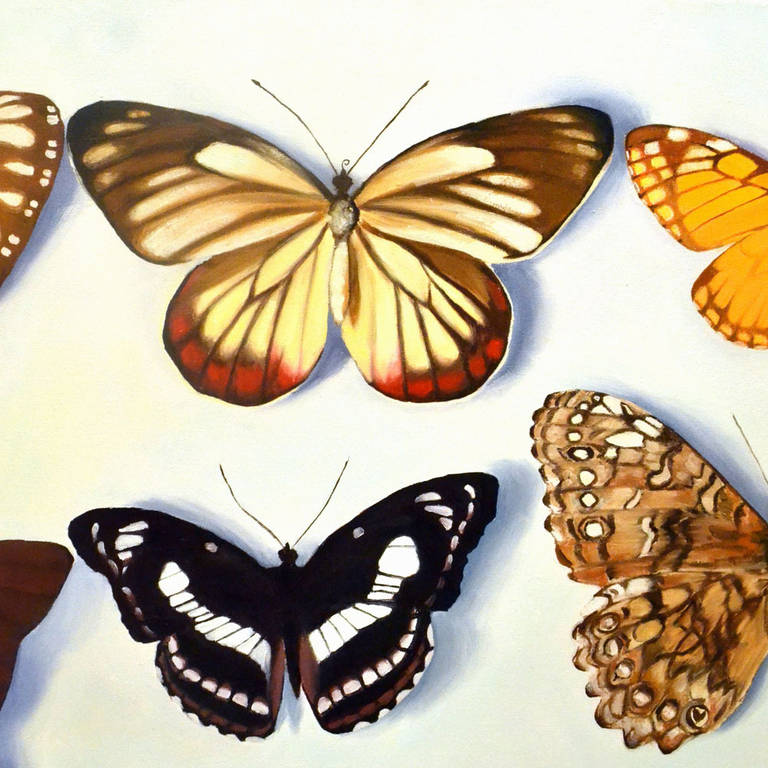 Peinture - photoréaliste de papillons par Bridget Orlando en vente 2