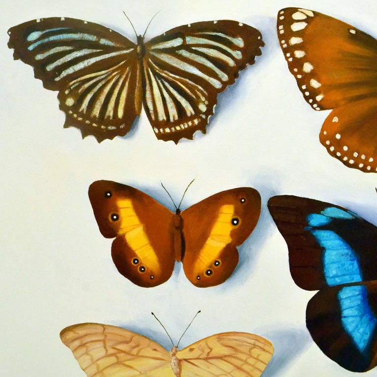 Peinture - photoréaliste de papillons par Bridget Orlando en vente 3
