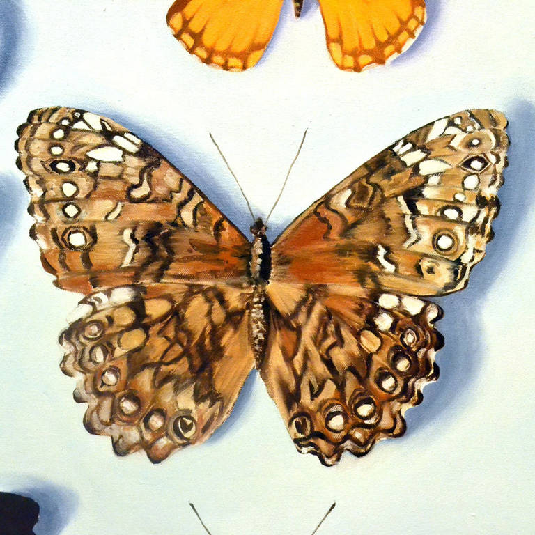 Quadro di farfalle dal vivo di Bridget Orlando in vendita 4