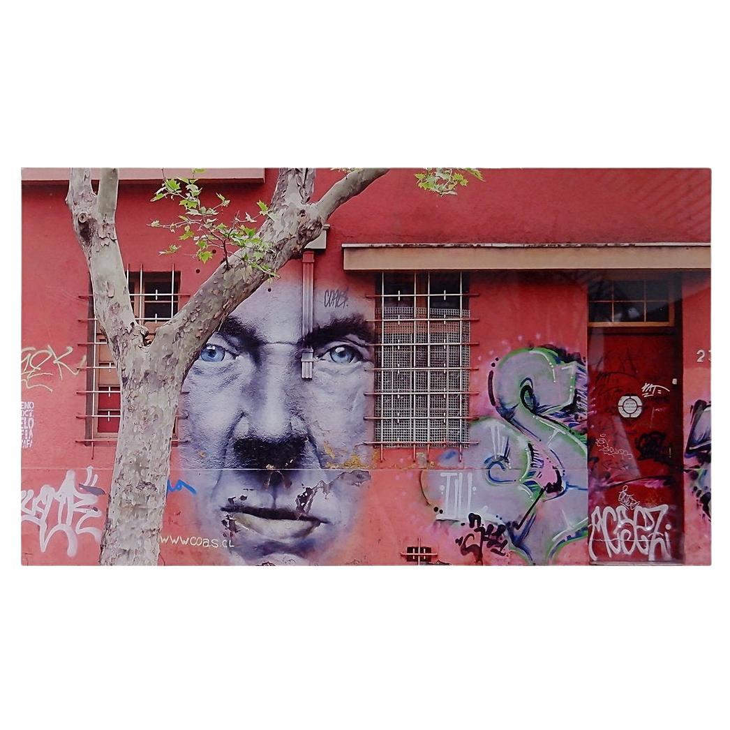 Foto scattata a Santiago nel quartiere Barrio Bellavista