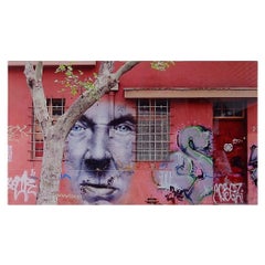 Foto scattata a Santiago nel quartiere Barrio Bellavista
