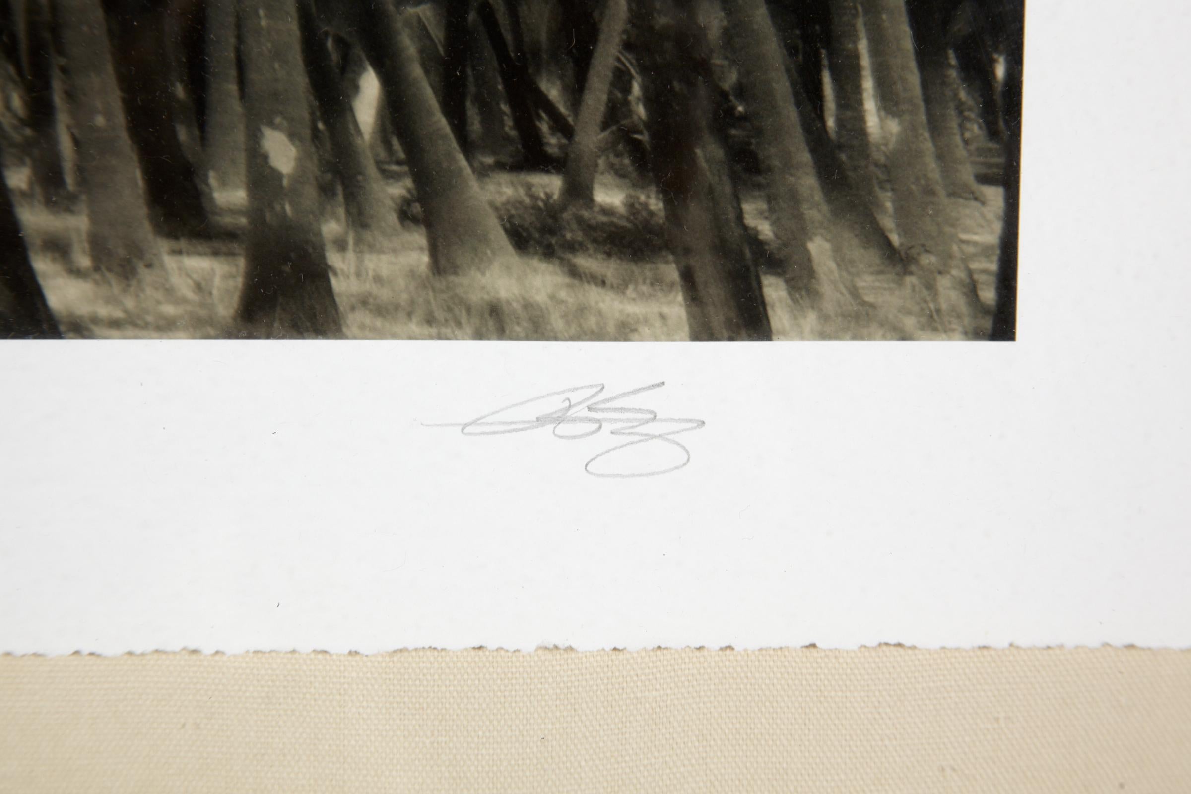 Post-Modern Photograph, Artist Proof California Palm Trees, Signed Limited Edition