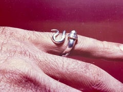 Foto für die Zeitschrift Penthouse Jerry Sarapochiello USA