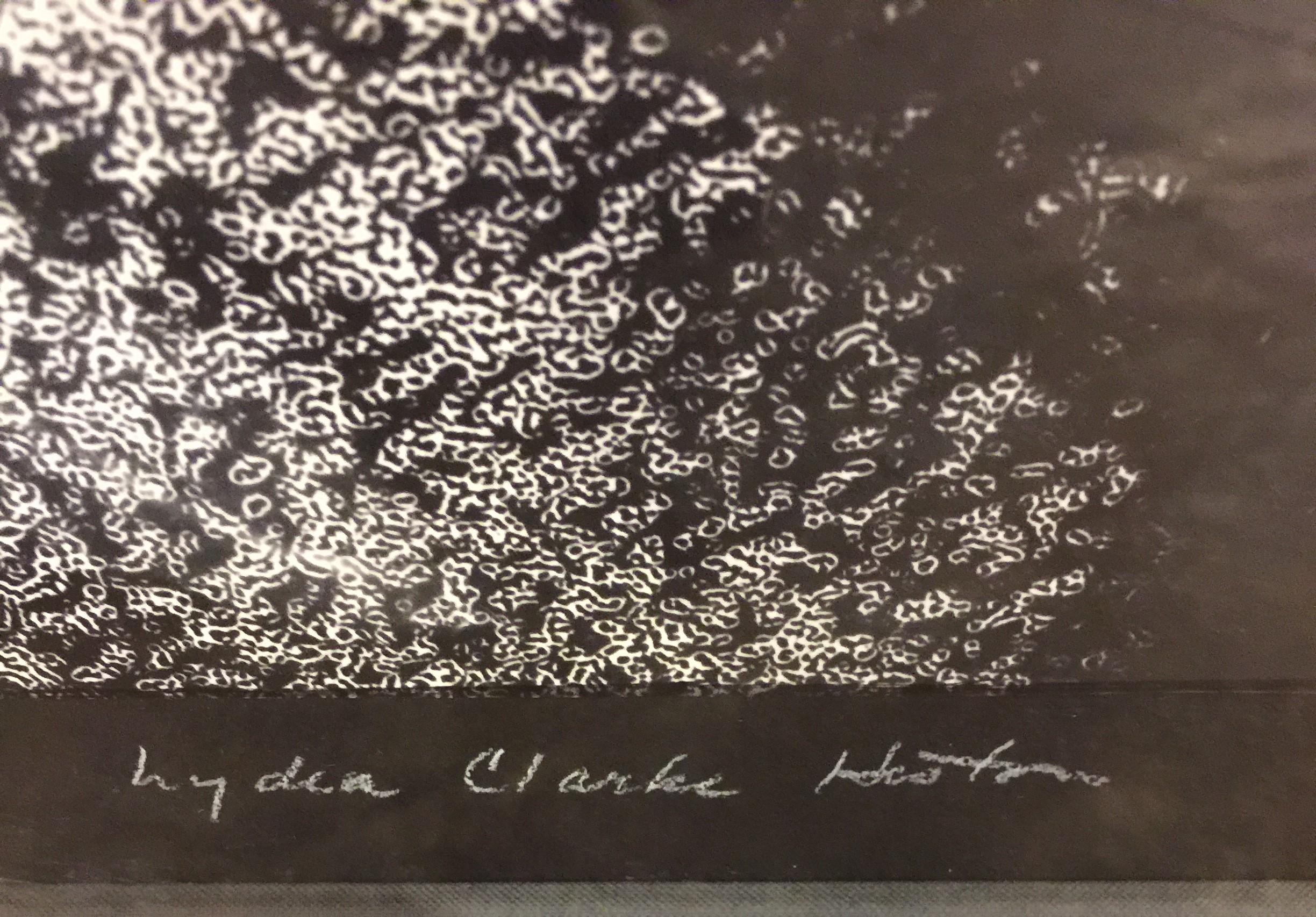 Photograph of Charlton Heston by Lidia Heston 1
