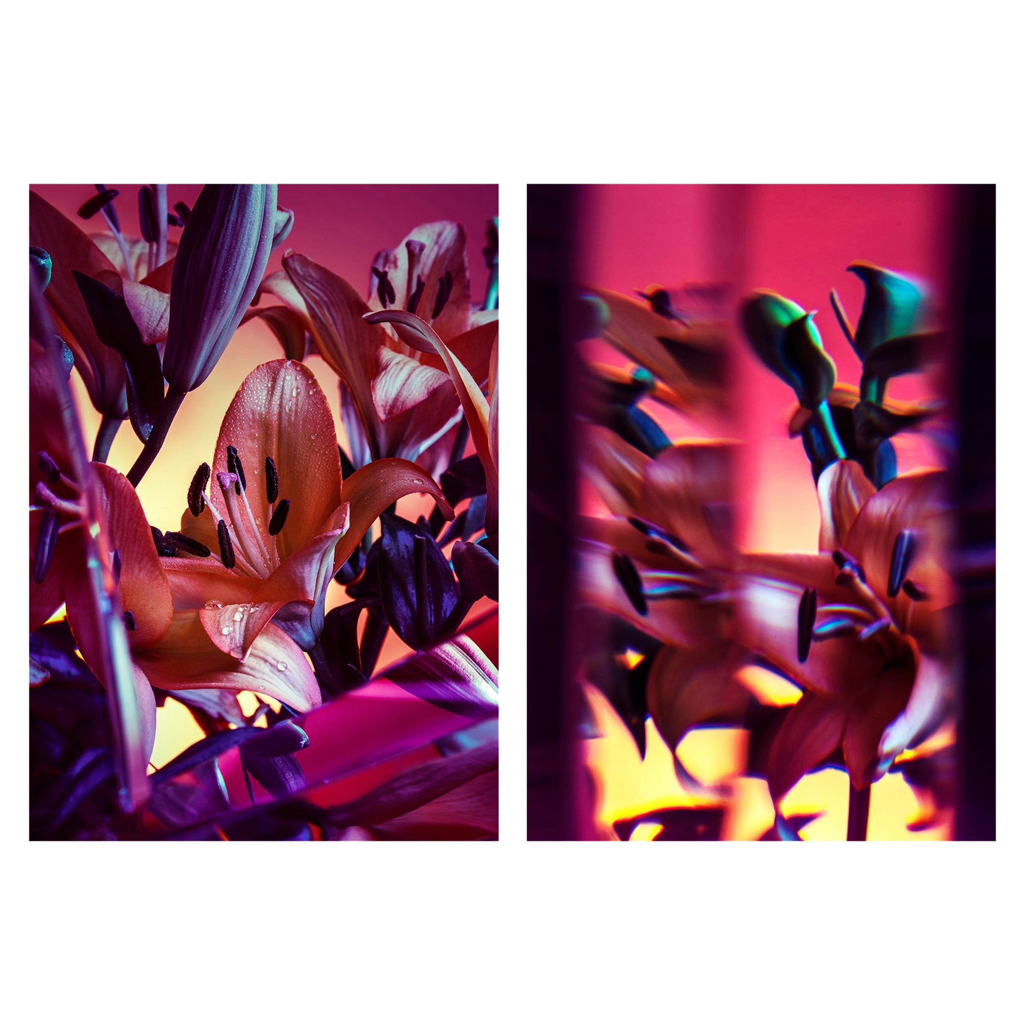 Photographie Giclée Diptyque 70x100 G. Cassapides Wall Art Hotel sofa table