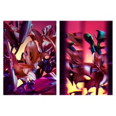 Photographic Giclee Print Diptych 70x100 G. Cassapides Wall Art Hotel sofa table