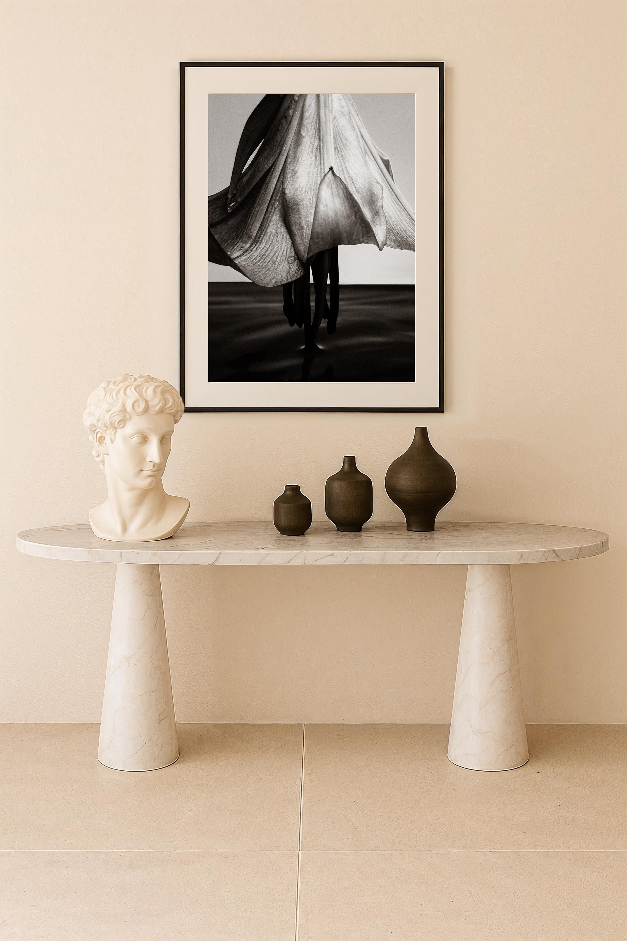 Fotodruck von George Cassapides, gedruckt auf Giclée-Archivierungspapier. 
Gedruckt auf Museumspapier und in einer nummerierten Auflage erhältlich.

Dieses Werk ist Teil einer limitierten Serie von George Cassapdies, die Lilien in einer lebendigen,