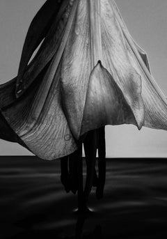 Photographic Giclee Print 'The Room Was Quiet' 70x100 G. Cassapides Art Hotel