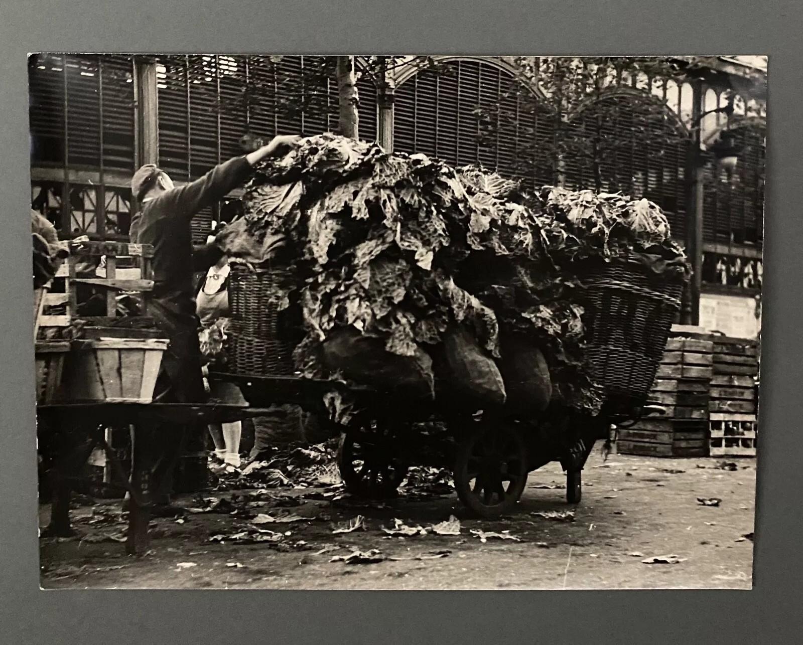 This unsigned photograph comes from a significant collection of works by Bernard Darot (born October 31, 1934, in Saint-Cloud, Hauts-de-Seine), a trained architect and student of Louis Arretche. His academic journey includes admission to the second