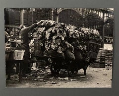 Silver Gelatin Print by Bernard Darot – 20th Century – Cart of Cabbages