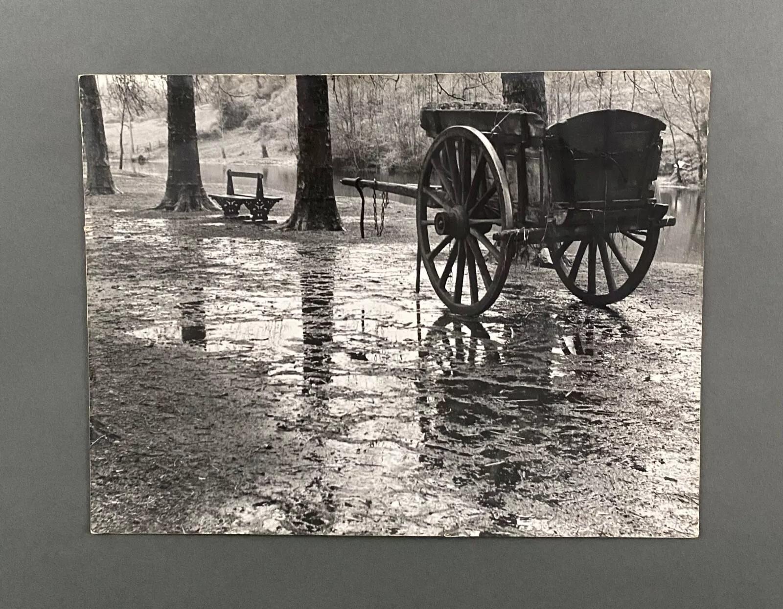 Regarding the condition, please note that the photo is peeling at the corners, and there is wear on the edges and corners, small tears on the left and bottom, handling marks, small black spots, and some dirt.
The photo is mounted on a cardboard