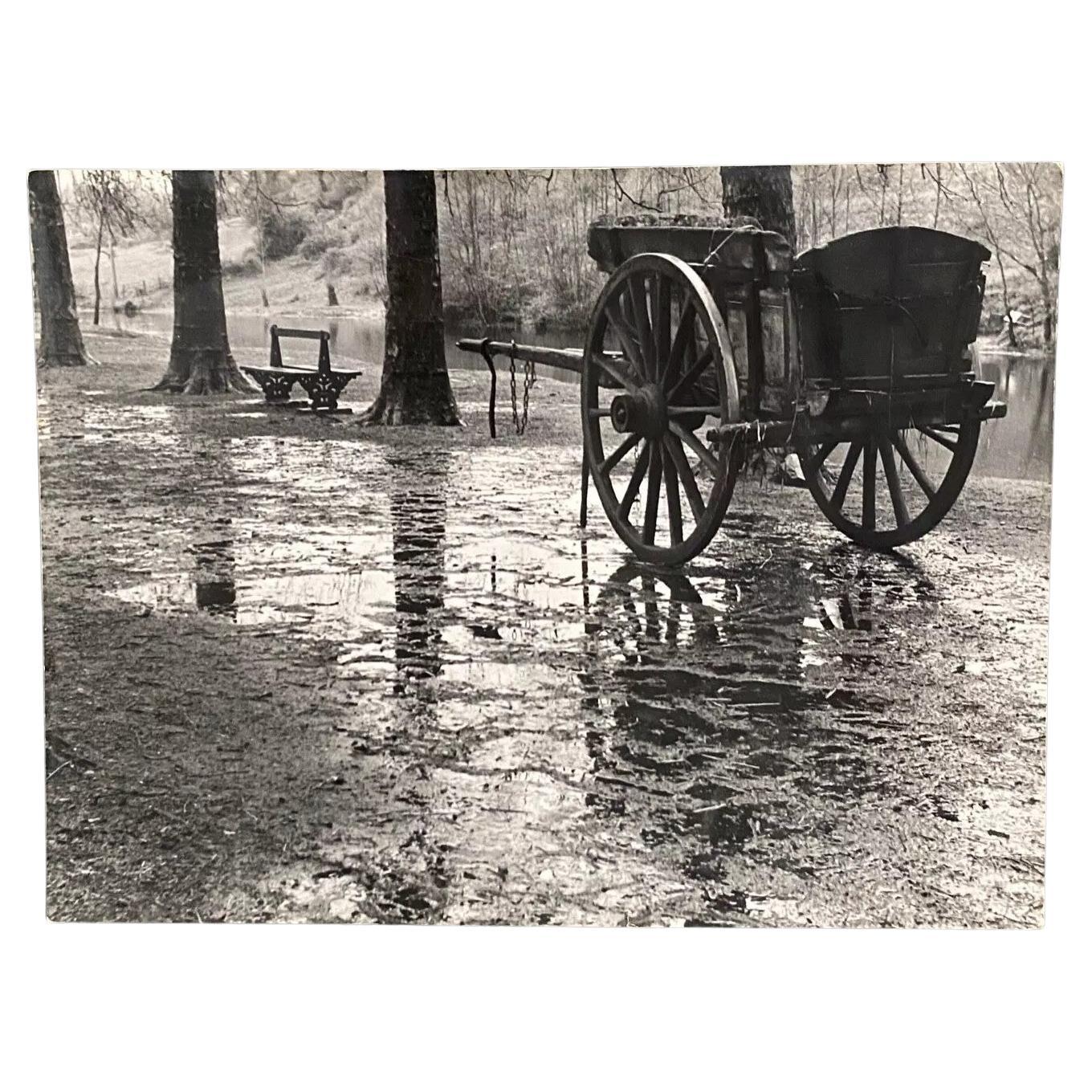 Photographie Bernard Darot AFIAP XXe Photo Club Nantais Automne