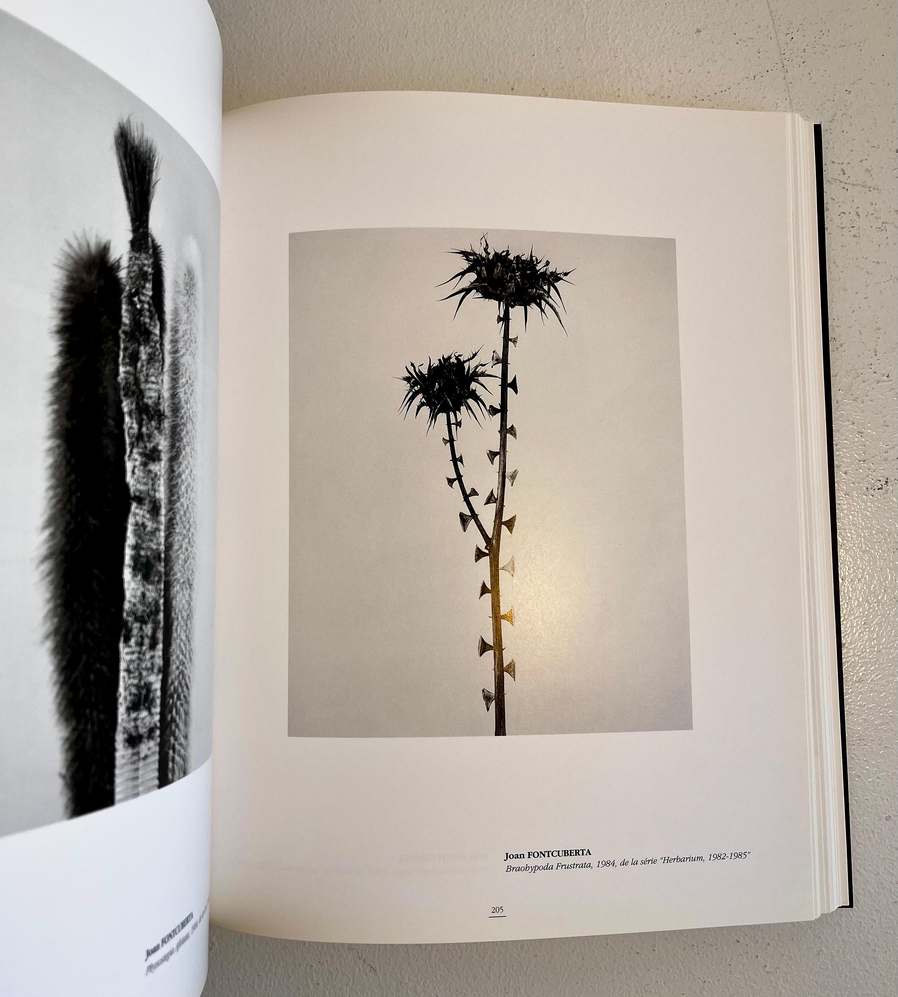 Libri sulla fotografia: 