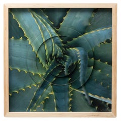 Photographie / Valeria López Gálvez / México