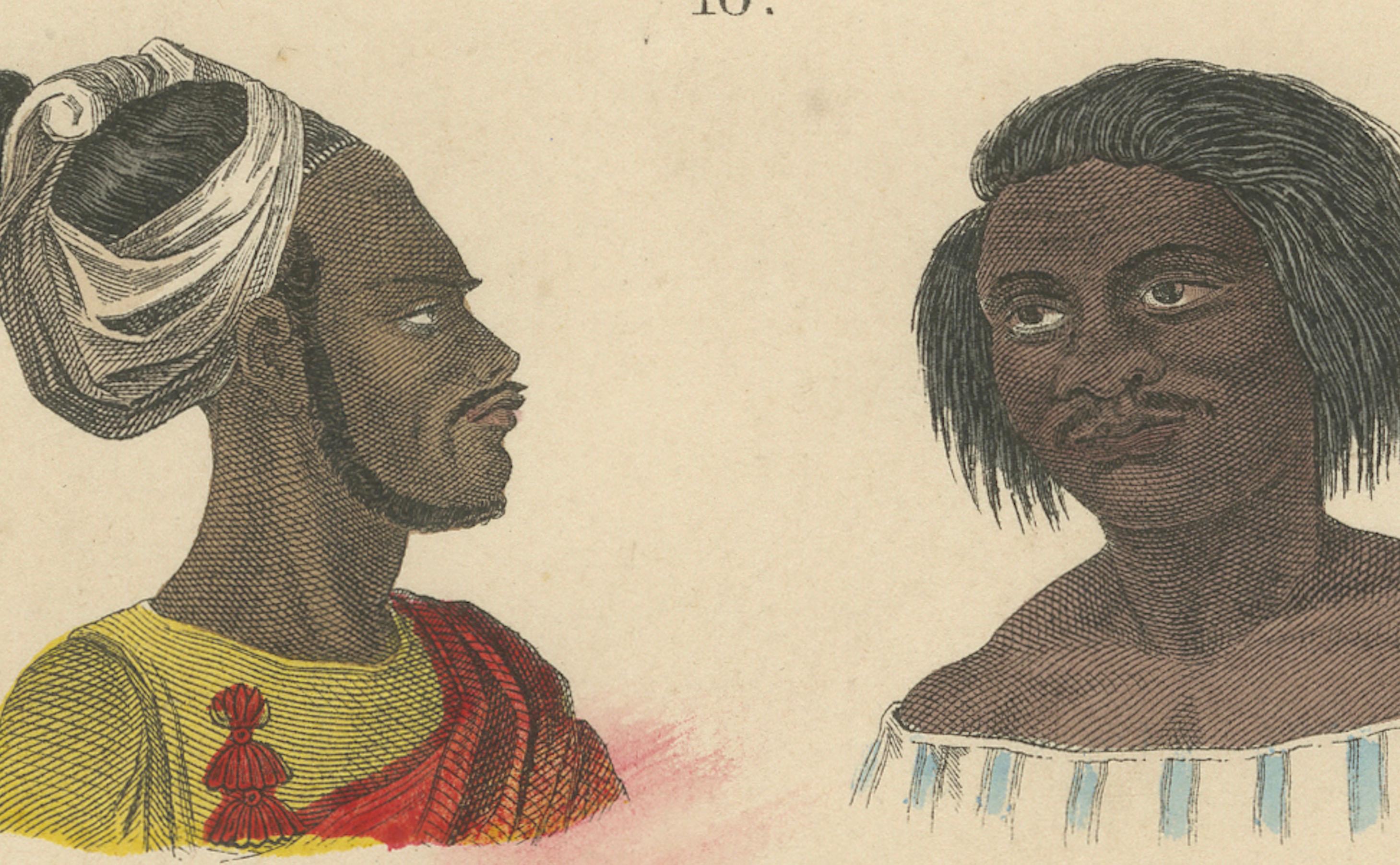 Studio di frenologia e teschi etnografici - Stampa antica Tipi umani 1867 in vendita 2