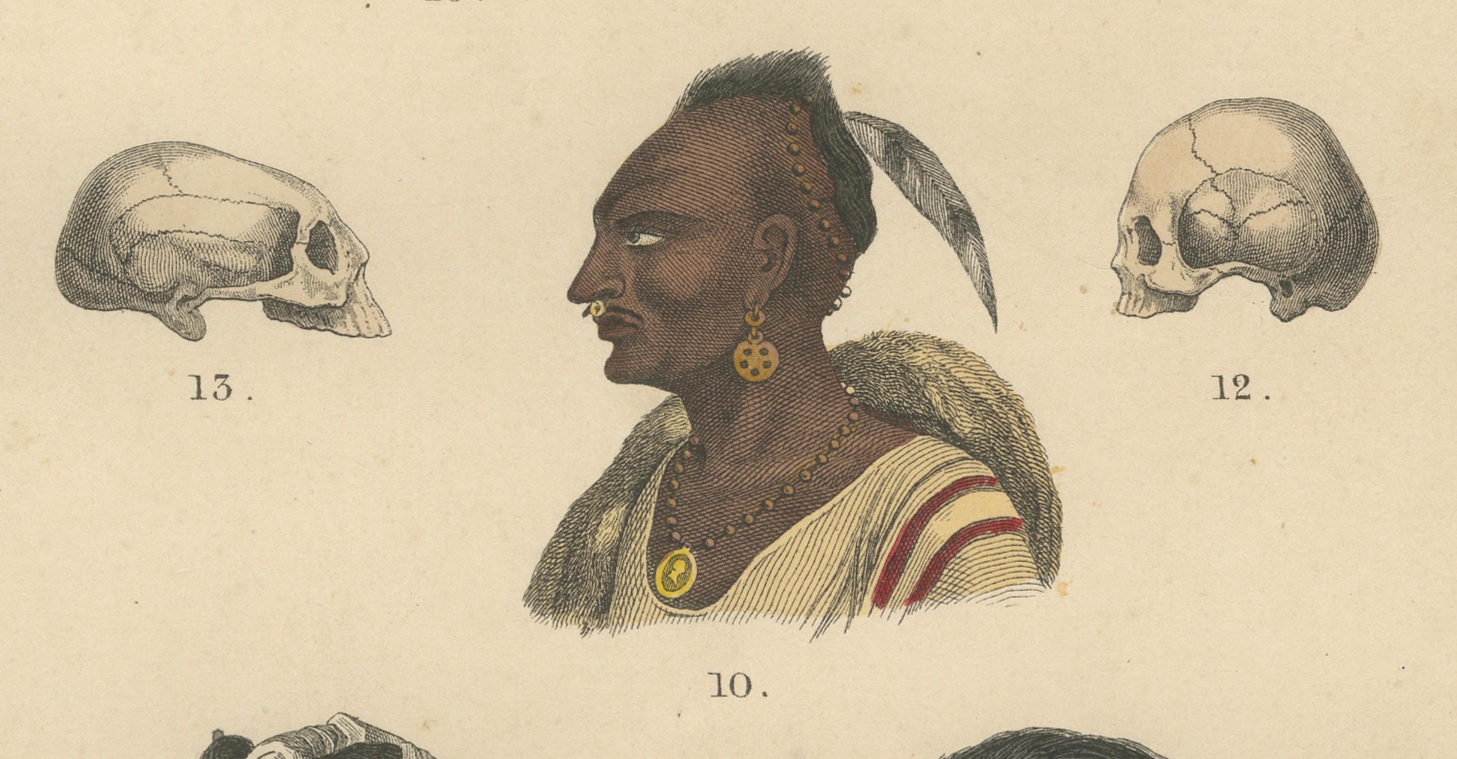 Studio di frenologia e teschi etnografici - Stampa antica Tipi umani 1867 in vendita 3