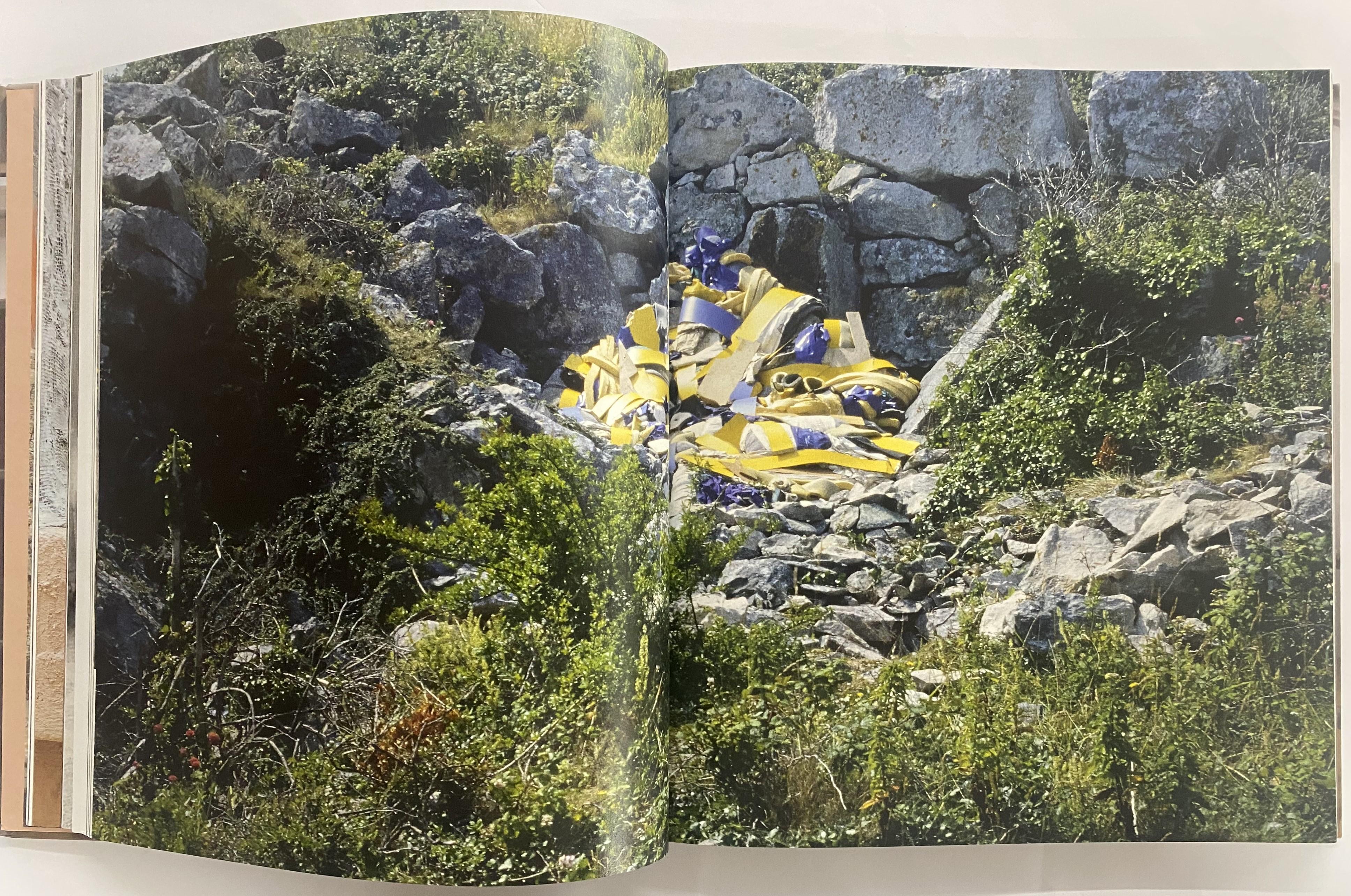 Papier Phyllida Barlow Sculpture 1963-2015 par Francis Morris (Livre) en vente