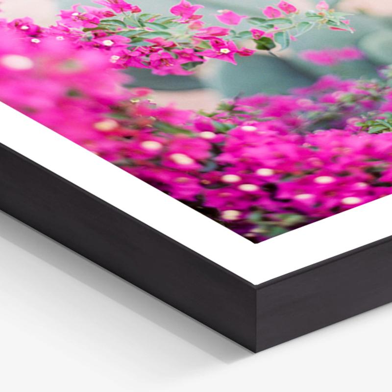 Bougainvilliers - Photographie couleur contemporaine du 21e siècle par Pia Clodi

Cette œuvre témoigne du côté plus ludique de la photographe et artiste Pia Clodi. Le rose vif illumine son œil pour les beaux espaces scéniques, qu'elle collectionne