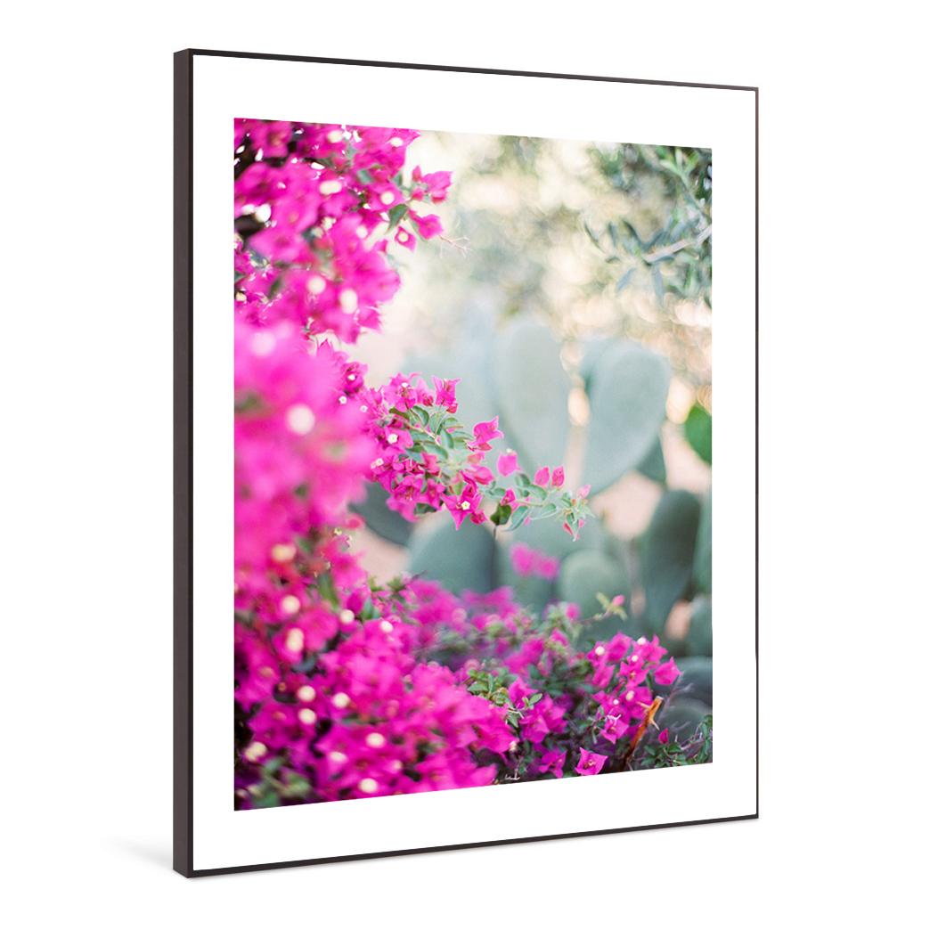 Bougainvilliers - Photographie couleur de paysage contemporain à grande échelle - Gris Color Photograph par Pia Clodi