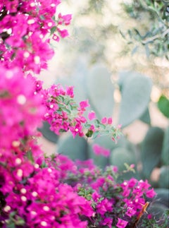 Bougainvillea - Large Scale Contemporary Landscape Color Photograph