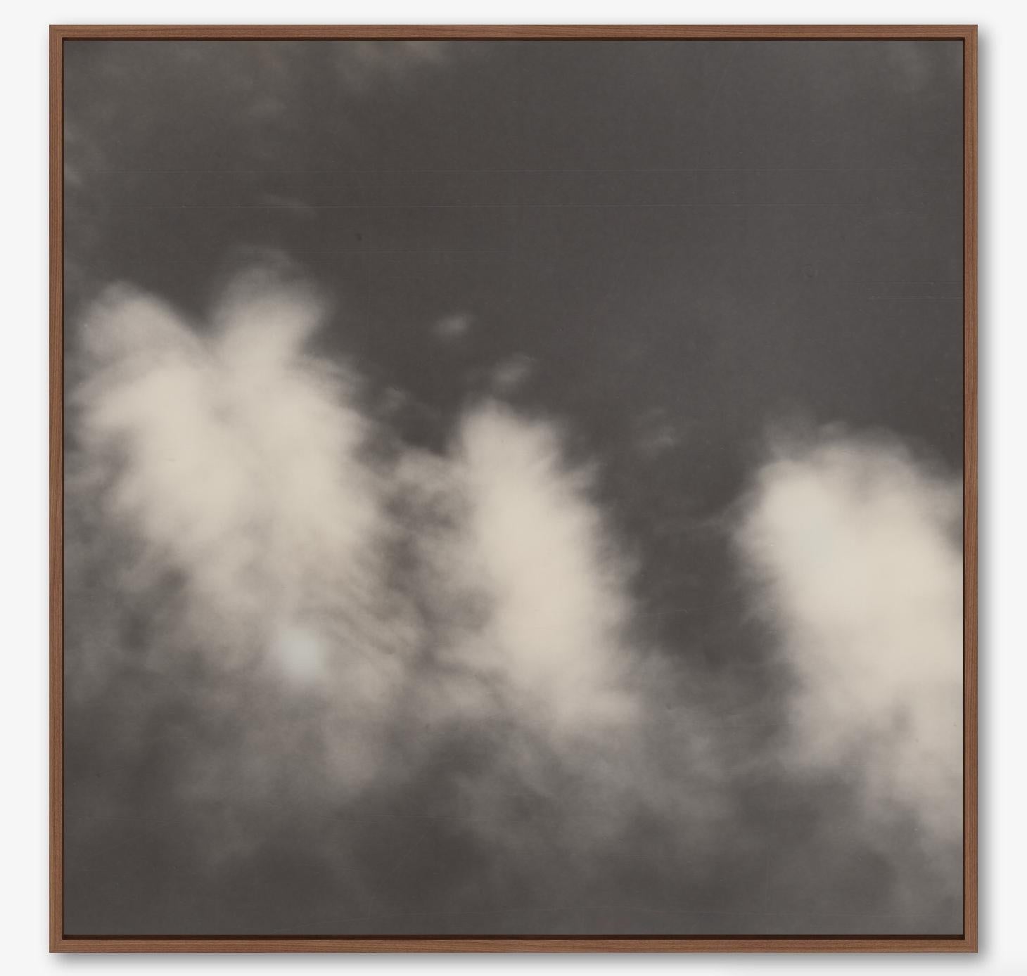 Bright Woods - Zeitgenössischer fotografischer Druck des 21. Jahrhunderts - B/W Polaroid (Grau), Figurative Print, von Pia Clodi