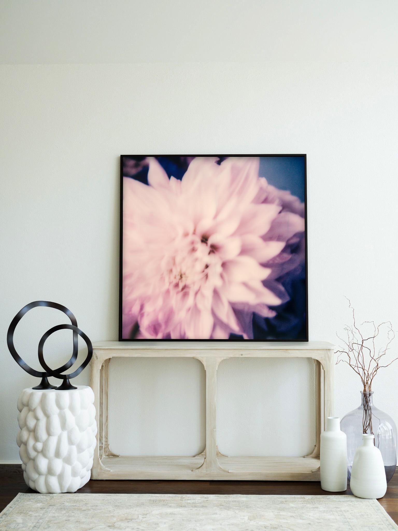 Dahlia - 21st Century Contemporary Photographic Floral Print from Color Polaroid - Beige Figurative Photograph by Pia Clodi