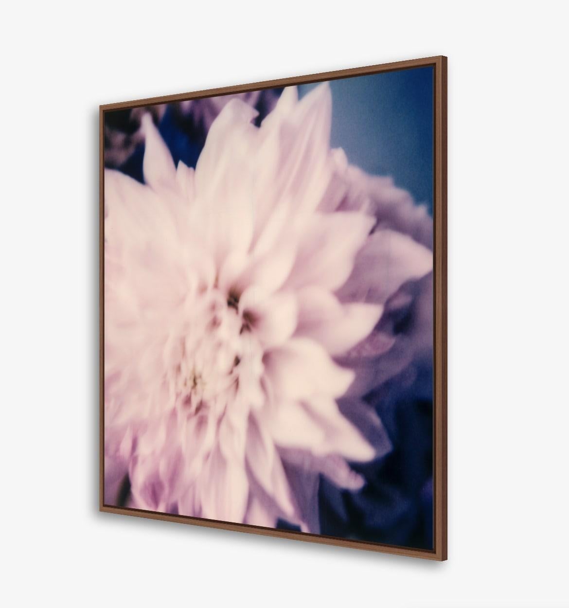 Dahlia - 21st Century Contemporary Photographic Floral Print from Color Polaroid For Sale 3