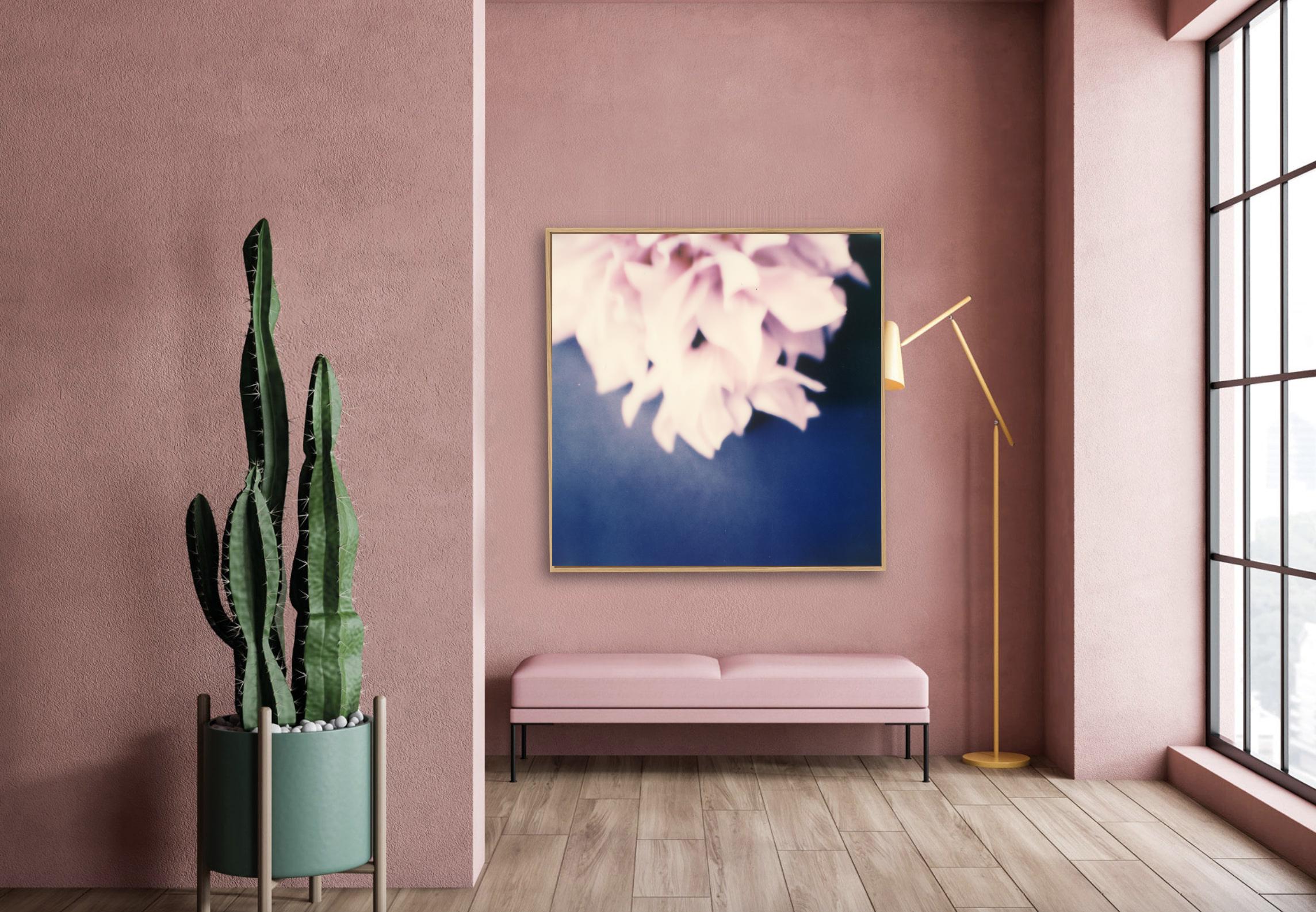 Dahlia II - Großer Contemporary Photographic Print von Unique Color Polaroid (Violett), Interior Print, von Pia Clodi